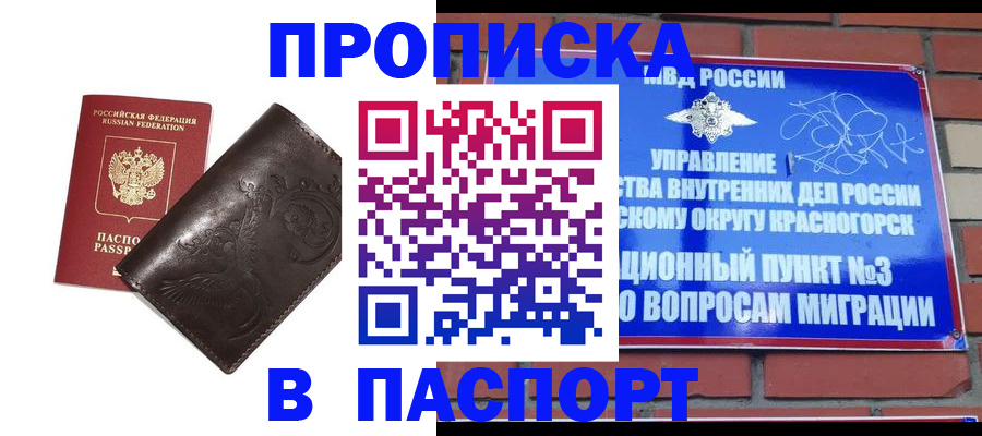 миграционный учет в Ленинградской области